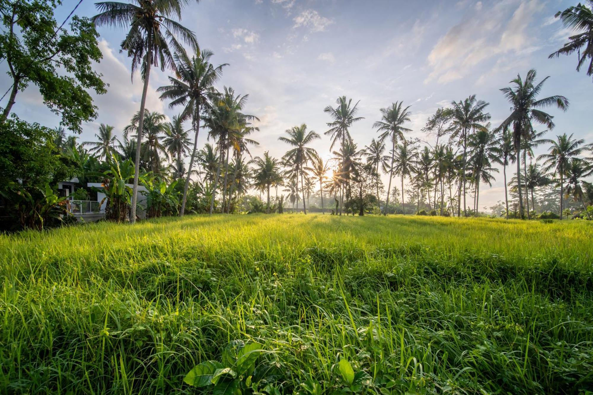 Casa Estrella - Luxe In Ubud Exteriér fotografie